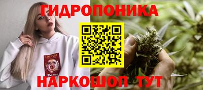 соль ск Жуковский