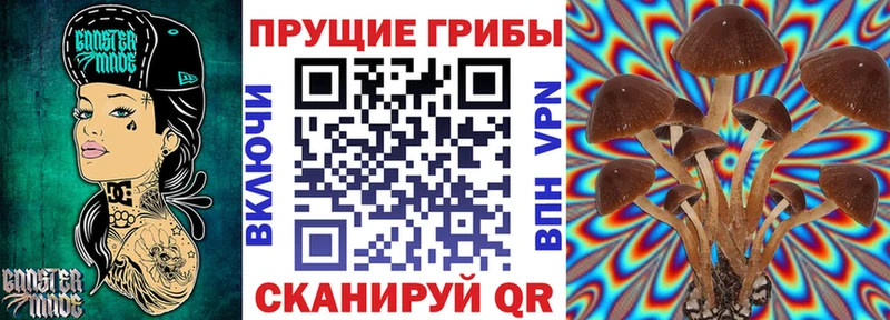 закладка Кирово-Чепецк mega маркетплейс Псилоцибиновые грибы мицелий