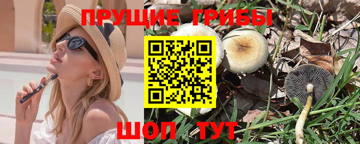 Галлюциногенные грибы MAGIC MUSHROOMS Кирово-Чепецк