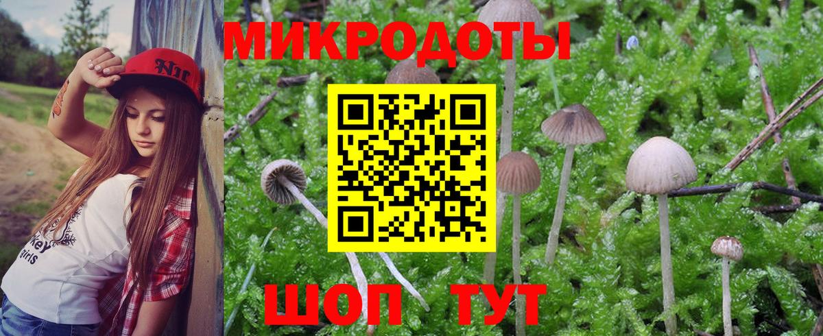 Псилоцибиновые грибы MAGIC MUSHROOMS Кирово-Чепецк