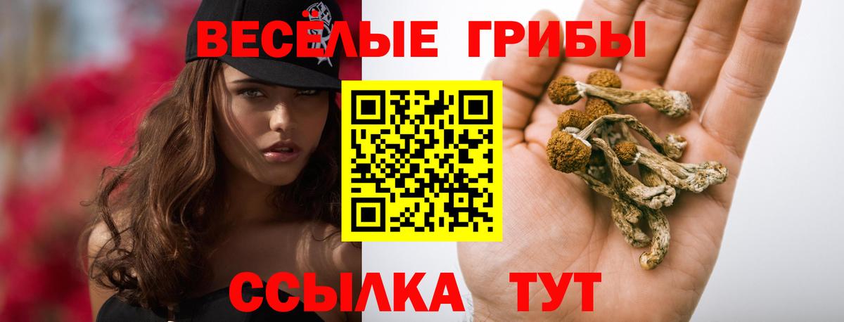 Кирово-Чепецк  Галлюциногенные грибы Psilocybine cubensis  Галлюциногенные грибы GOLDEN TEACHER  Вход с VPN 